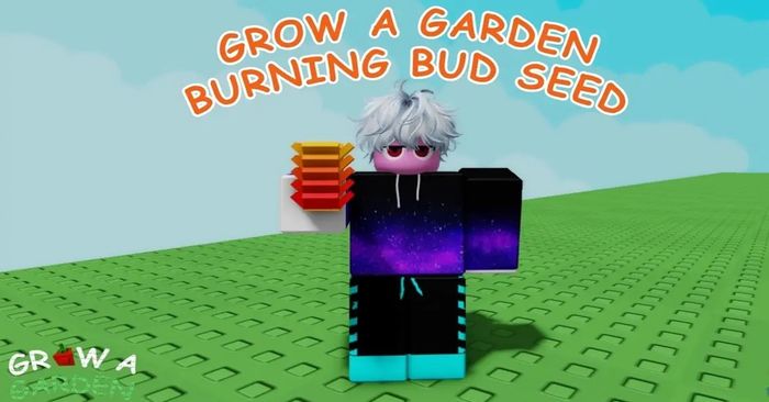 hinh-anh-burning-bud