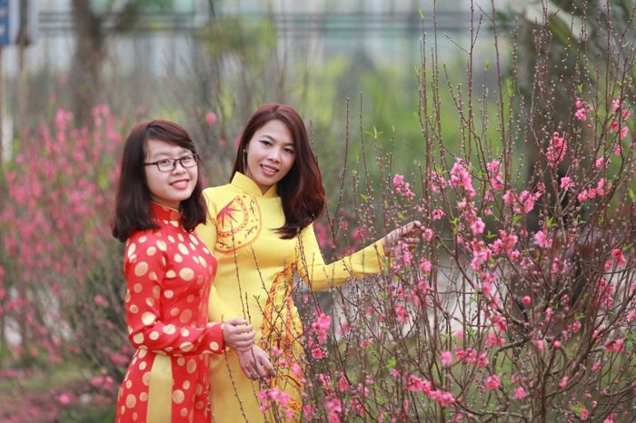 Trải nghiệm niềm vui của Tết