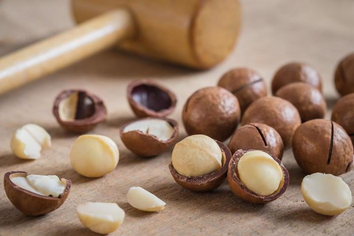 Hạt Macca được xem như “Nữ Hoàng” không chỉ vì giá trị cao mà còn vì chất lượng và công dụng tuyệt vời mà nó mang lại.