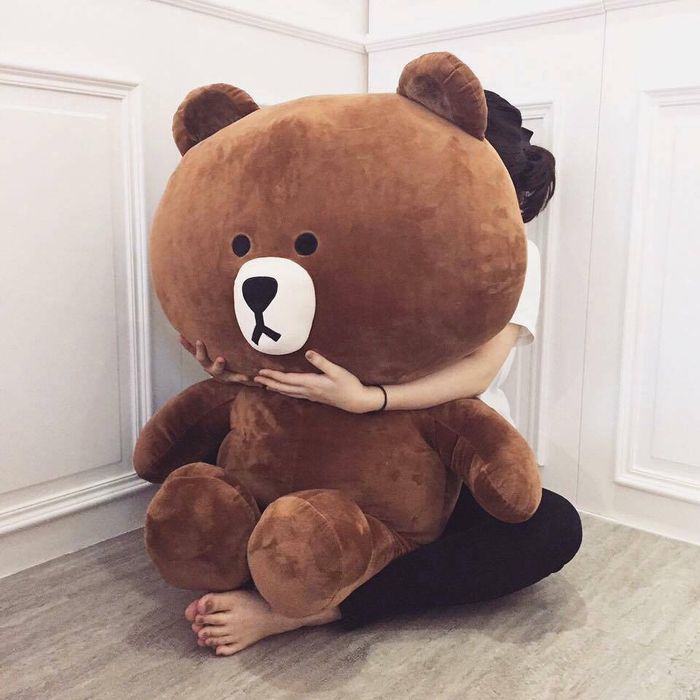 Tặng gấu cho Crush, ý tưởng thú vị