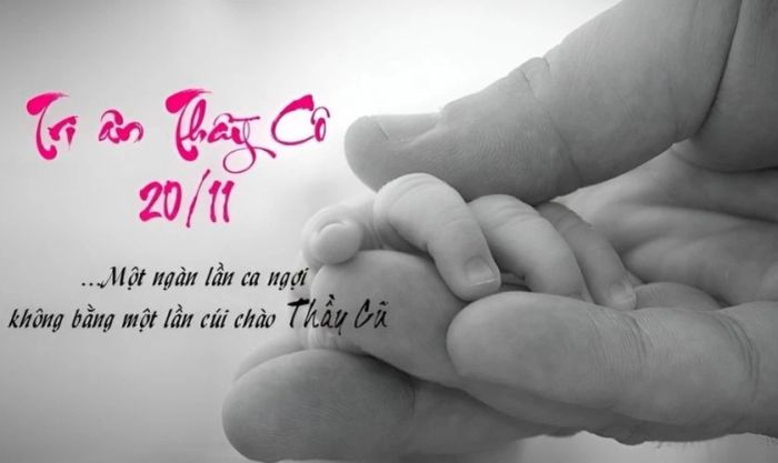 Chọn lọc ảnh bìa 20/11 với lời chúc ý nghĩa và đặc biệt, tạo nên một món quà tinh thần đầy cảm động cho thầy cô giáo.