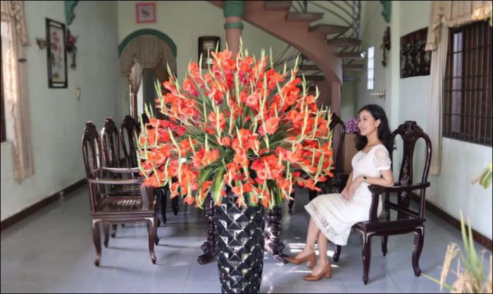 Tham khảo hình ảnh hoa dơn đẹp để cắm hoa ngày Tết