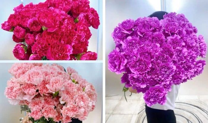 Mẹo chọn hoa phăng để cắm ngày Tết 
