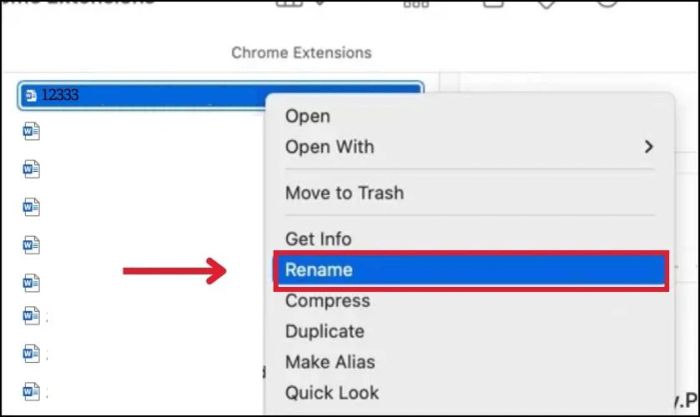 Hướng dẫn thay đổi tên file Word đã lưu trên MacBook
