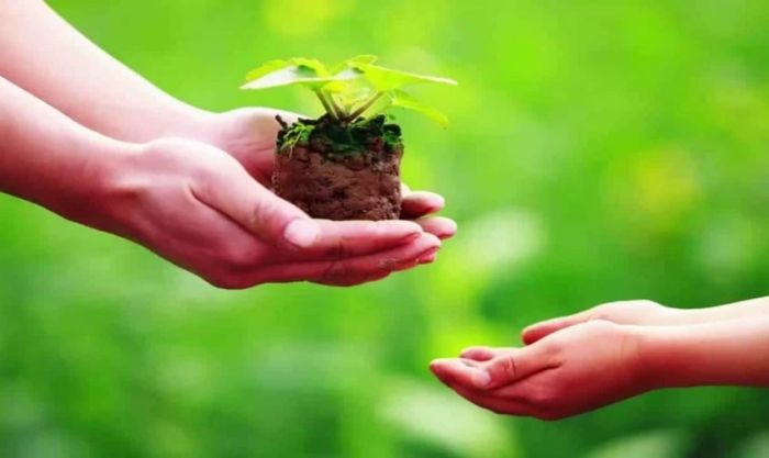 Một số điều cần lưu ý khi xuất hành vào mùng 4 Tết 2025 để đảm bảo mọi việc diễn ra suôn sẻ và thuận lợi.