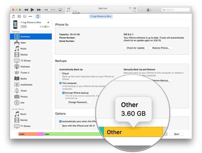 Kết nối iPhone với phần mềm iTunes