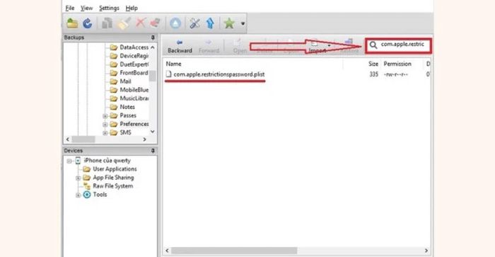 Nhập từ khóa “com.apple.restrictionspassworld.plist” vào thanh tìm kiếm