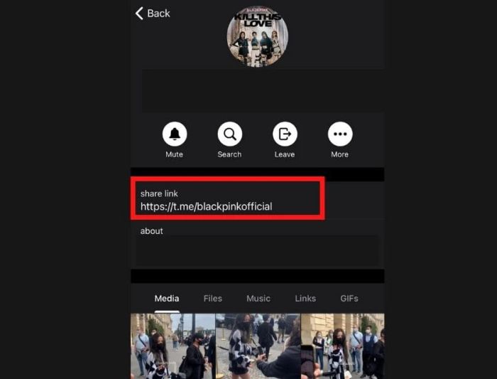 Hướng dẫn chi tiết cách lấy link Telegram trên điện thoại