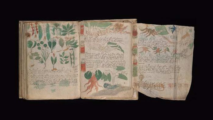 A page from the renowned Beinecke MS 408, better known as the Voynich Manuscript.