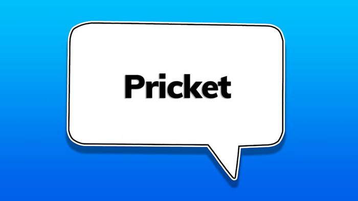 A speech bubble containing the word ‘pricket’