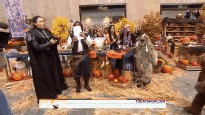 An Ewok is shown in the image
