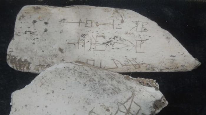 Fragments of oracle bones inscribed with early Chinese script from the Shang dynasty, housed in the Pitt Rivers Museum at Oxford University