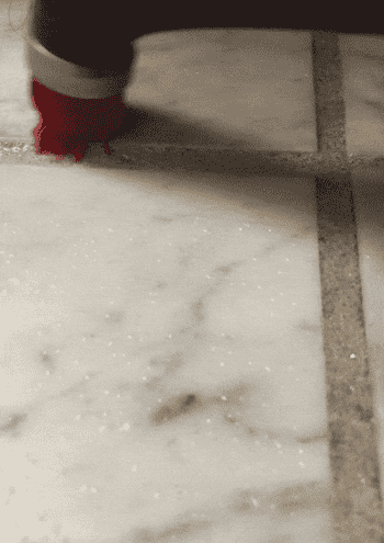 A GIF of a Mytour Shopping reviewer using the power scrubbing brush to clean grout.