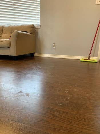 A reviewer's floor showing paw prints and residue.