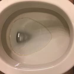 A toilet bowl with a stubborn stained ring around the inside.