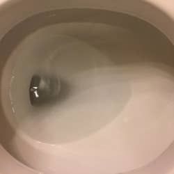 The same toilet bowl, now completely spotless after using the pumice cleaning stone.