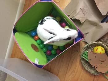 A different reviewer’s bunny hopping in the ball pit