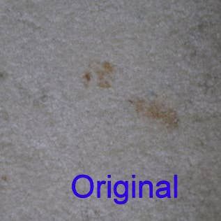A photo from the reviewer showing a brown pet stain on their beige carpet.