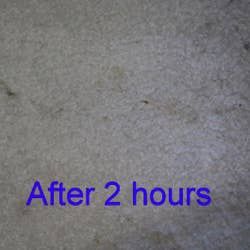 A photo from the reviewer showing the stain fading after just two hours of treatment with the pad.