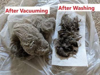 Reviewer photo showing a massive pile of fur and dirt that the vacuum extracted, beside another large pile of fur removed using the washing feature