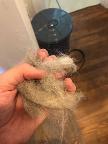 A reviewer proudly holding a tuft of cat fur, showing how well the brush removes loose fur
