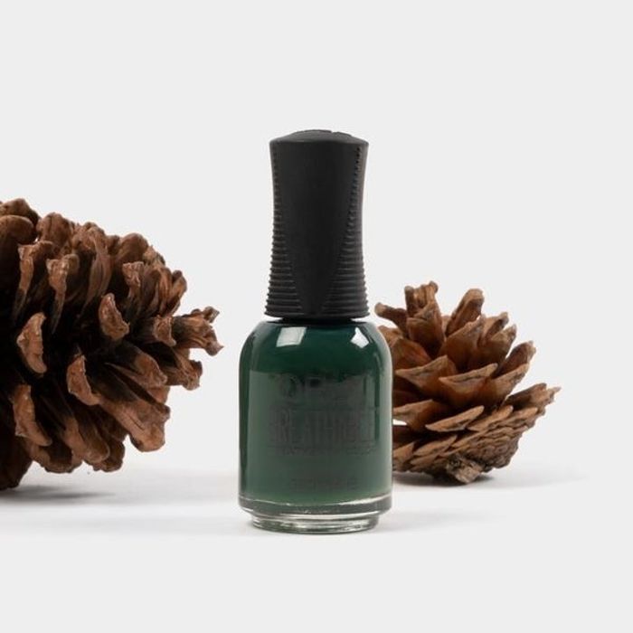 A bottle of dark green nail polish placed beside some pinecones.