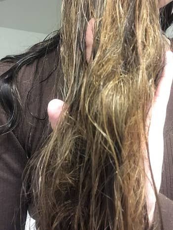 A reviewer’s hair before applying the detangling spray