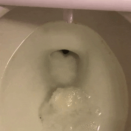 A GIF showing a toilet tablet fizzing and dissolving in water.