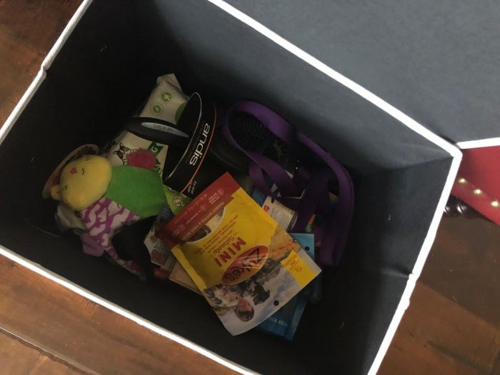 A top-down view of the box, filled with treat bags and pet toys.