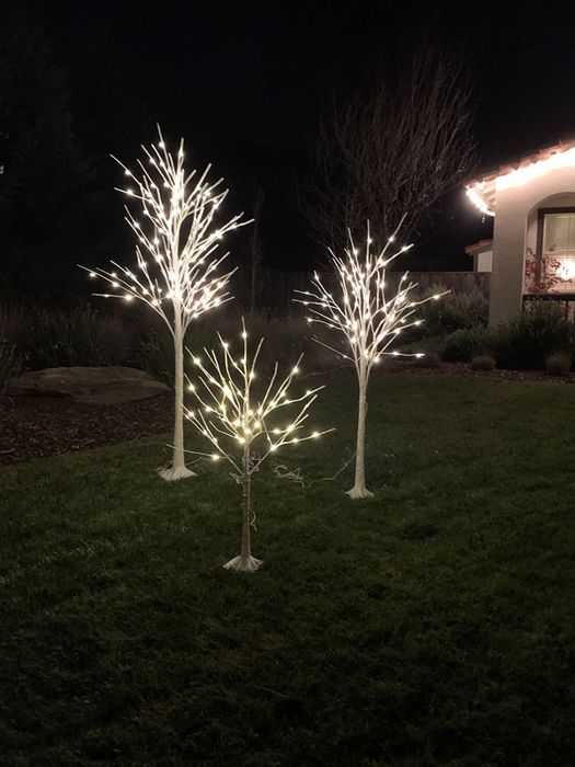 Reviewer photo featuring three trees glowing with lights outside, captured during the night