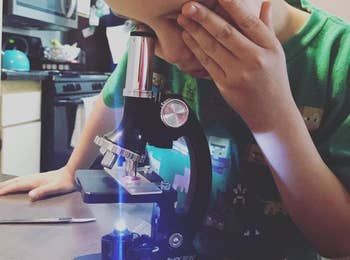 Reviewer’s child peering through the microscope