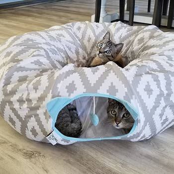 Three cats lounging in the tunnel bed, two inside the tunnel and one in the central part.