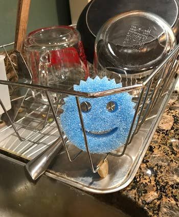 reviewer's blue sponge drying on a drying rack
