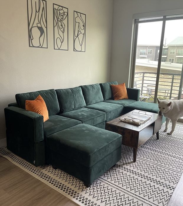 A reviewer’s photo showing the green couch with a white dog resting beside it