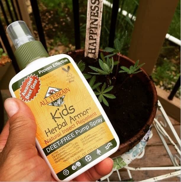 Photo of a model's hand holding a white and green insect repellent spray bottle