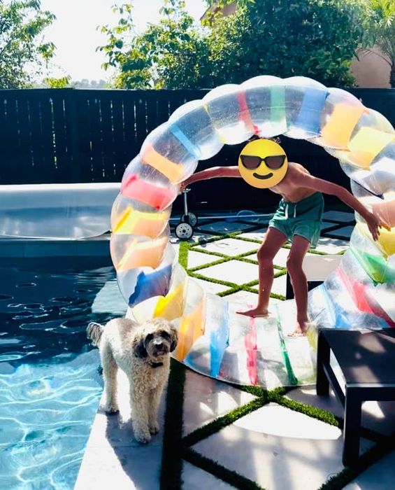 A child having fun in swim trunks with a colorful inflatable in a pool in the backyard