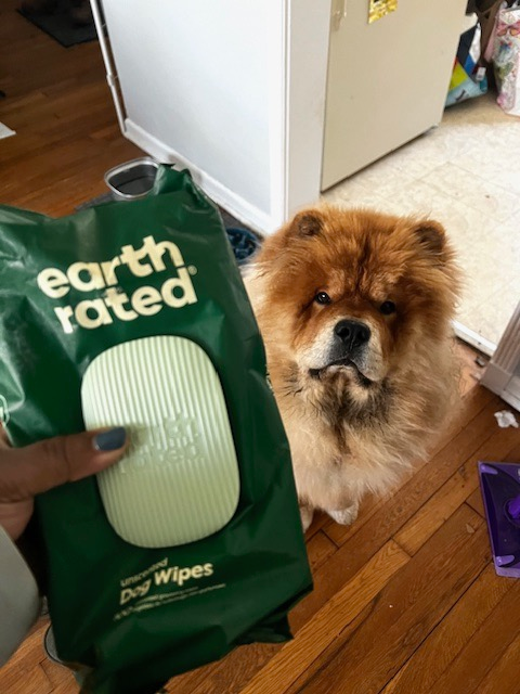 Mytourer holding a pack of dog wipes next to a cute Chow Chow puppy.