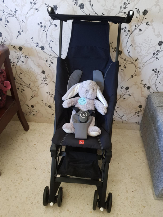 Photo of the black stroller holding a stuffed bunny