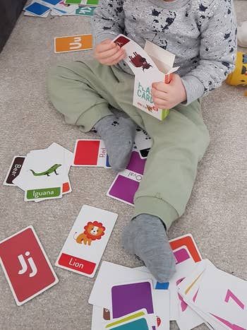 A set of flash cards featuring numbers, colors, letters, and animals.