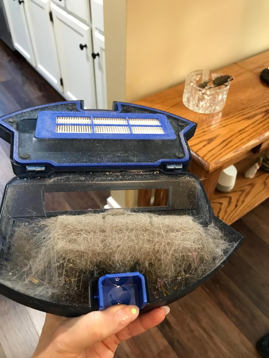 A reviewer showing the impressive amount of dust and dirt collected by the vacuum.