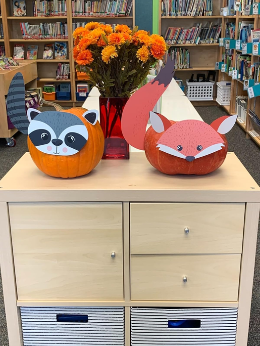 Two artistically painted pumpkins designed as a raccoon and a fox sit atop a wooden cabinet, with a vase of orange flowers adding a festive touch in a cozy library backdrop