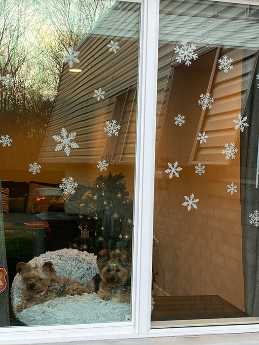 A reviewer photo showing snowflake decals on a pair of windows, with two dogs peering through them