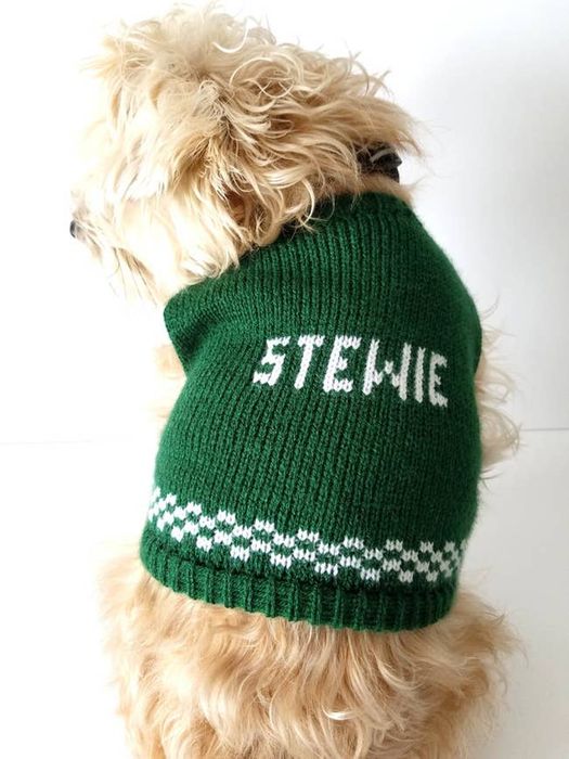 A dog sporting a green personalized sweater, featuring a checkerboard design and their name