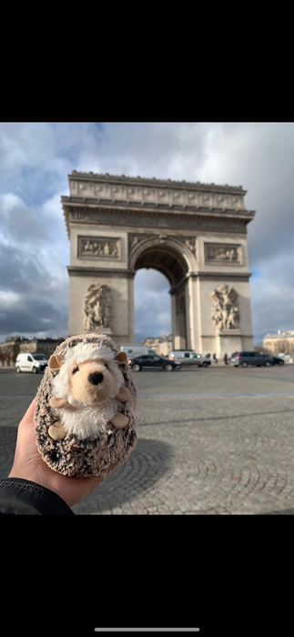 A reviewer’s plush hedgehog enjoying a trip in Paris