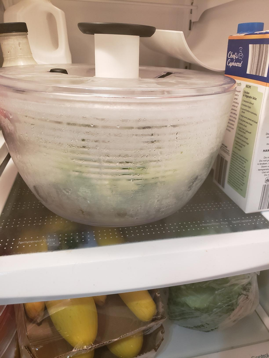 A reviewer's photo of the salad spinner placed neatly inside a refrigerator.