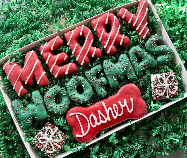 A box of freshly baked dog treats spelling out a special message