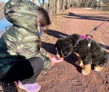 A reviewer’s dog drinking water from the pink water bottle during a hike