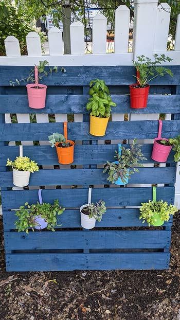 A reviewer's outdoor herb garden, with each pot put to use