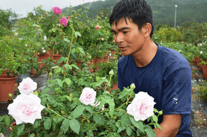 cây cảnh Đà Lạt