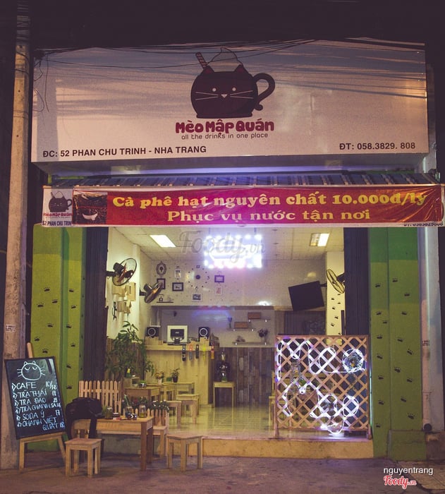 cafe mèo Nha Trang